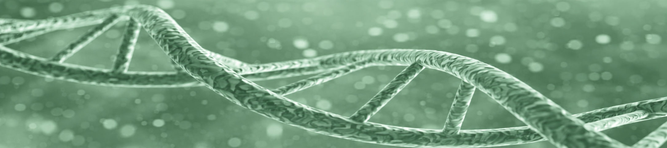 DNA als onderdeel van onderzoek naar veroudering